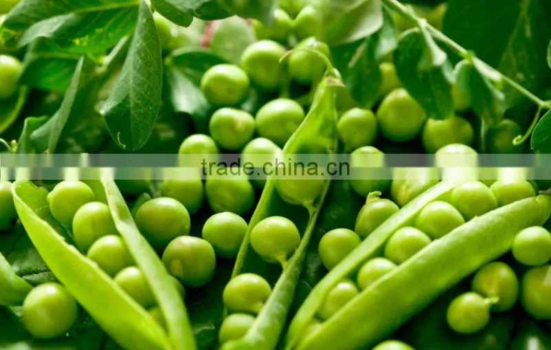 Factory offer mung bean rice thresher machine