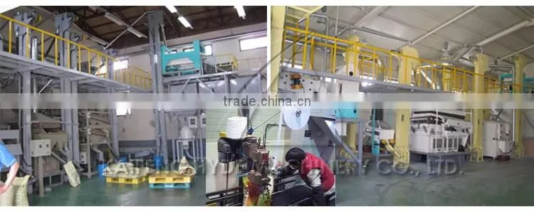 3T Lentils peas processing plant for Minor cereals processing
