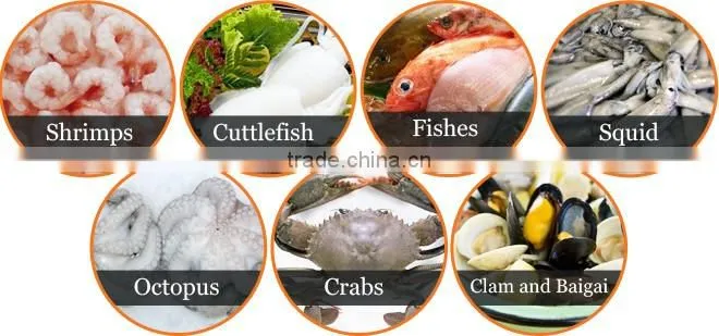 Fresh Frozen Indian Oil Sardine