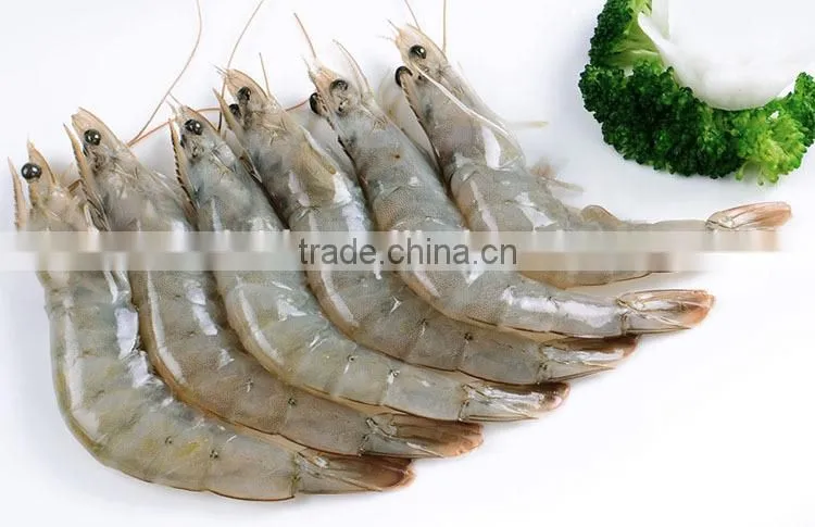 HL002 shrimp on sale FDA Certification