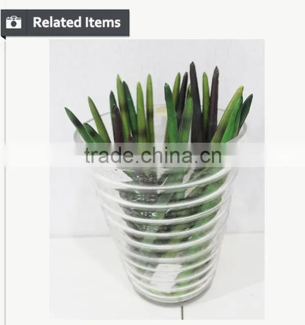 Manufacturing maguey garden decoration indoor decoration handmade plant for sale