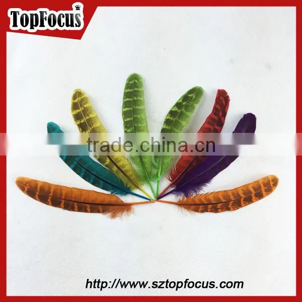 reeves cheap Natural Pheasant Tail Pheasant Feather for sale