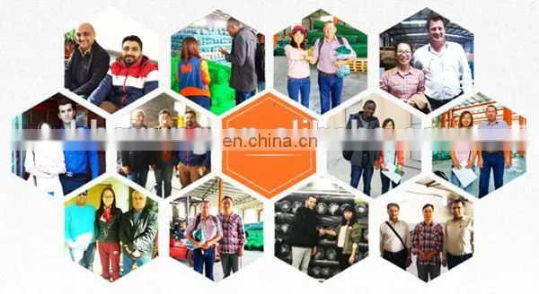 40,50 mesh 100% virgin HDPE with UV Anti Insect Net UV treated for greenhouse