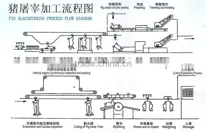 widely used pig slaughtering equipment