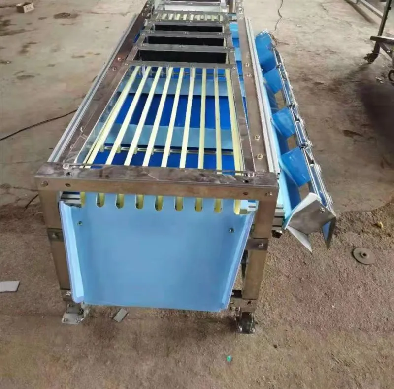 Green Lime Fruit Sorting Grading Machine Sorter Grader Machine Line Classifying Machines