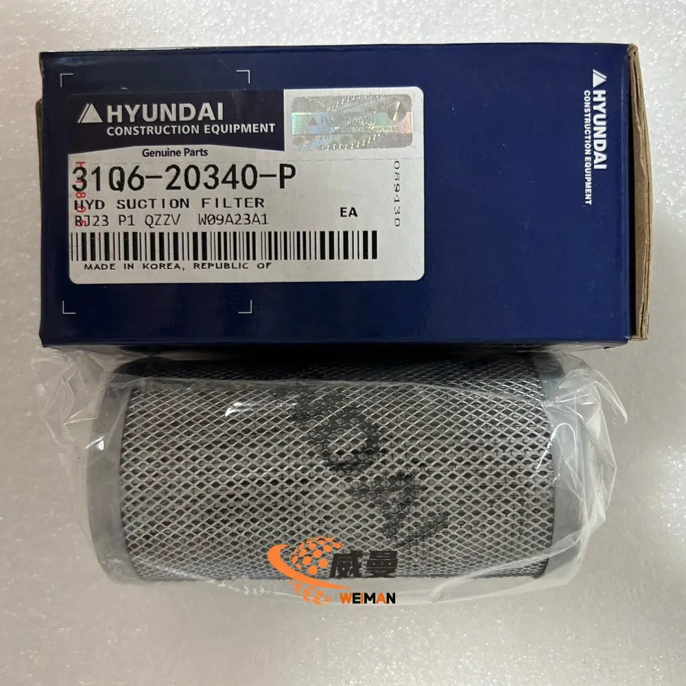 31q6-20340-p-2