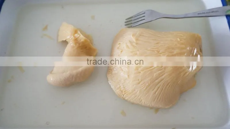 China New Cultivated Canned Bailing Mushroom Whole