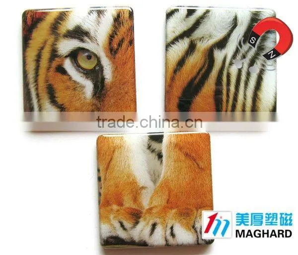 animal protection tiger paws Magnetic Epoxy Gift promotional item personalized fridge magnet