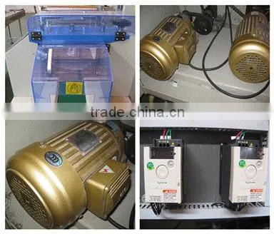 New design and full automatic fresh vegetable and fruit packing machine