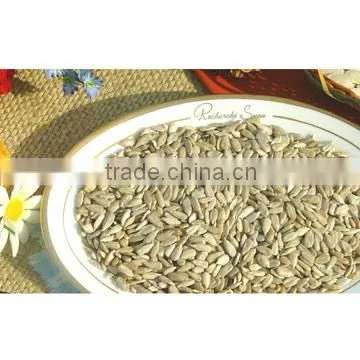 Sunflower seed kernels