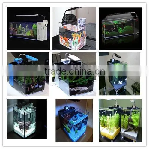 high quality imported clear countertop acrylic watch display