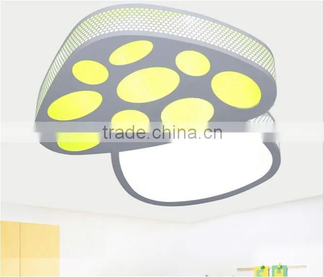 High quality arcylic ceiling lighting,LED ceiling lighting fixturer for baybe room
