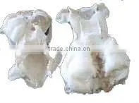 Chondroitin Sulfate USP32 /CAS No.:9007-28-7