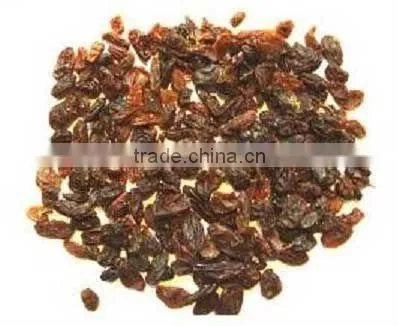 New crop 2014 Malyar raisin B Grade
