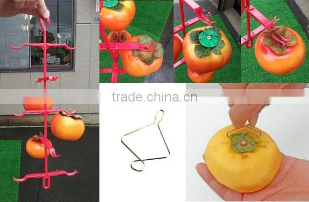 Japanese Kaki persimmon fruit drying clip Made in Japan