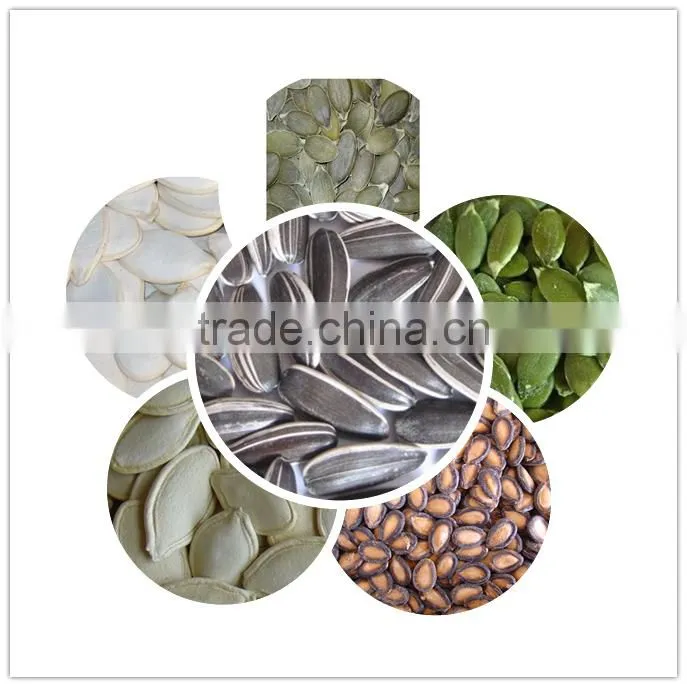 Shine-skin pumpkin seeds for wholesale from China