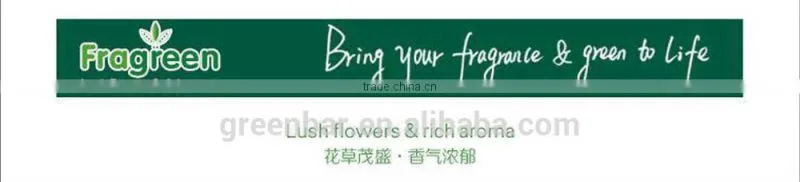 Hanging vertical garden green wall planter