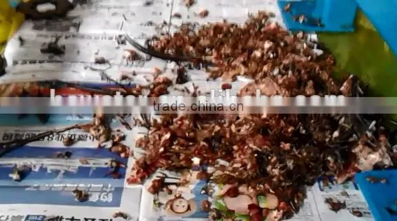 Good performance animal mini shredder machine for dead chicken