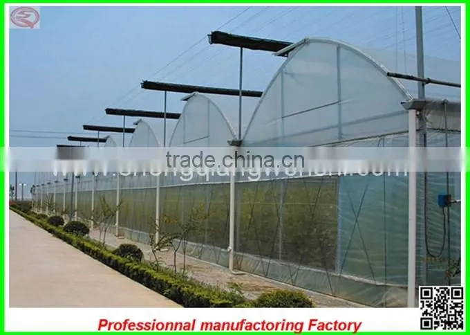 Hot sale single-span/multi-span plastic film greenhouse for agriculture