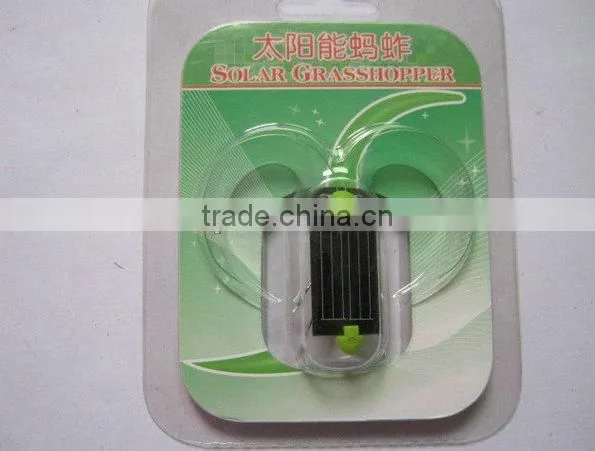 Chinese manufacturer Solar spider/Cockroach Toy Best gift for 3-6 years old kids