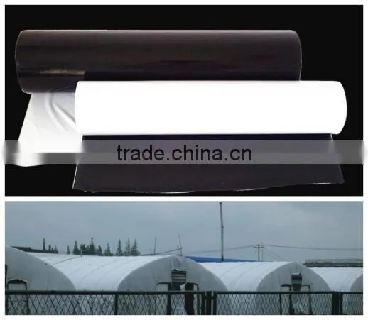 Agricltural Plastic Film Covering Greenhouse Tunnel