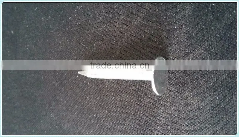 coil roofing,factory direct sale nails
