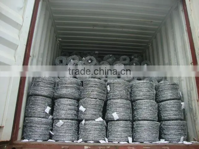 electro galvanzied barbed wire