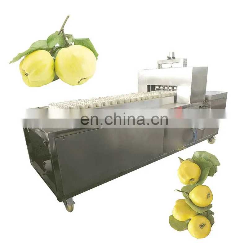 Competitive price and high quality Quinces Corer On Sale