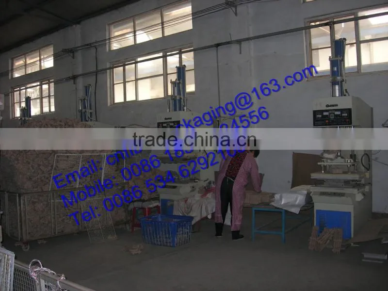 OEM Orders Eco-friendly molded paper pulp beverage tray