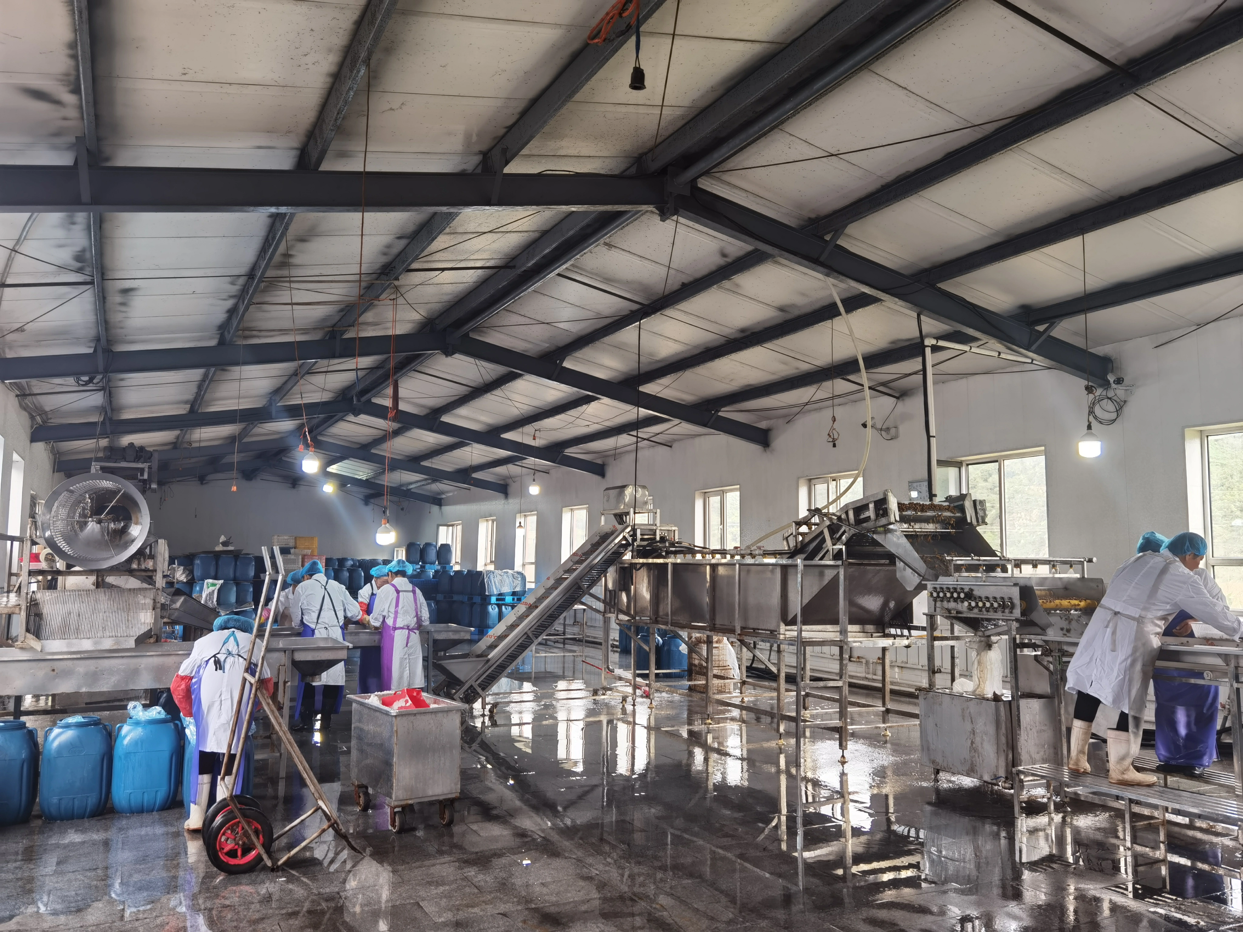 Xiuyan Funong Edible Fungi Production Professional Cooperatives company overview - view 1