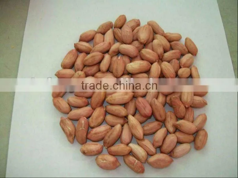 Shandong new crop best price peanut in shell for sale
