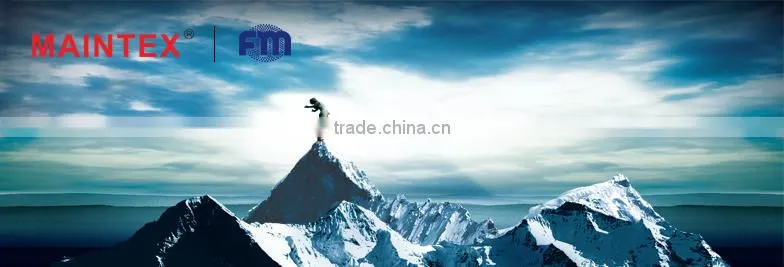 CE 2.5hp dc treadmill motor