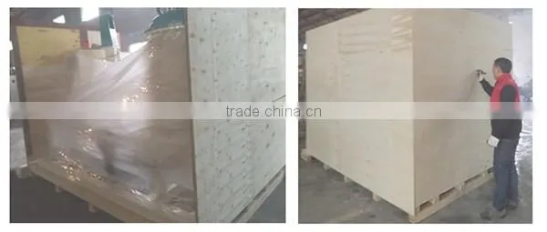 2016 Low Pressure Injection Machine