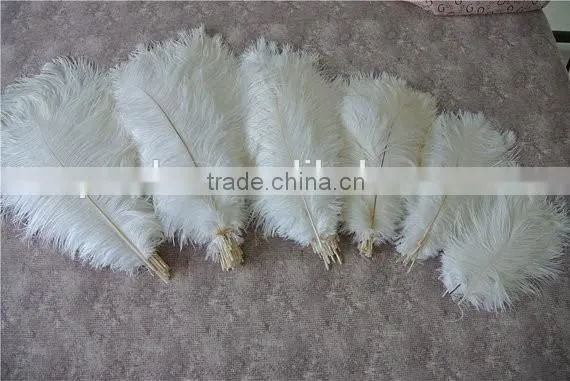 Wedding favors Wholesale white ostrich feathers