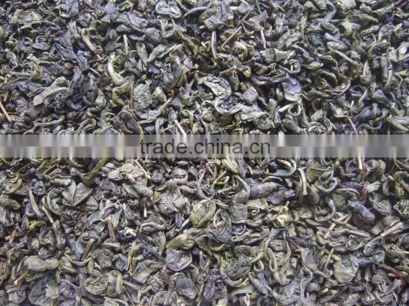 2016 Various grade available green china gunpowder green tea 9275