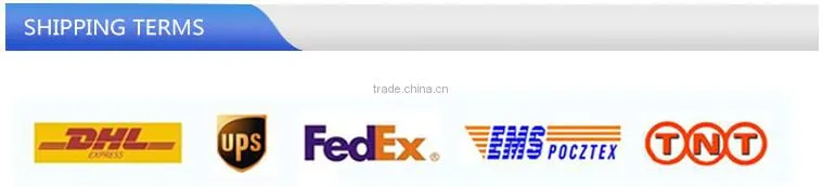 New Item Best Price Hot Sale WiFi Marketing Router