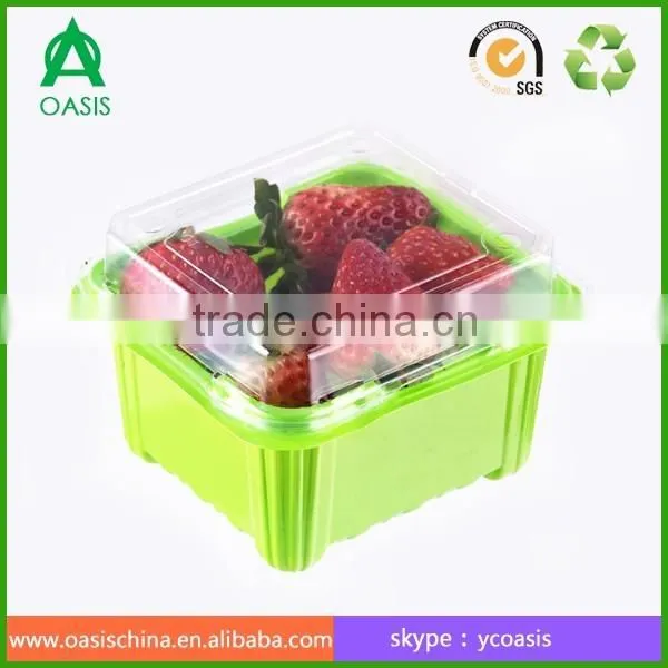 250g plastic strawberry punnet