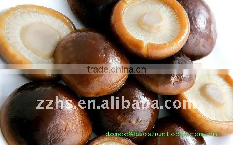 Canned Whole Shiitake Mushroom Nutritious Recipes