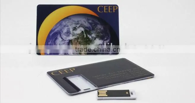 Business Gift MIni Card USB 2.0 Driver
