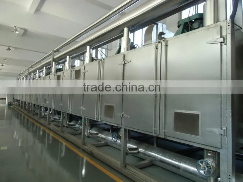 Spinach mesh belt dryer