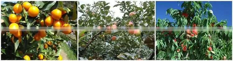 Huminrich Natural Compound Microelements Foliar Spray Fertilizer Organic Micronutrients For Plants