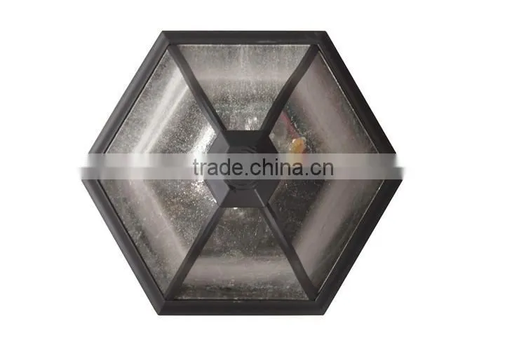 2015 Ceiling is special pendant lighting (5615)