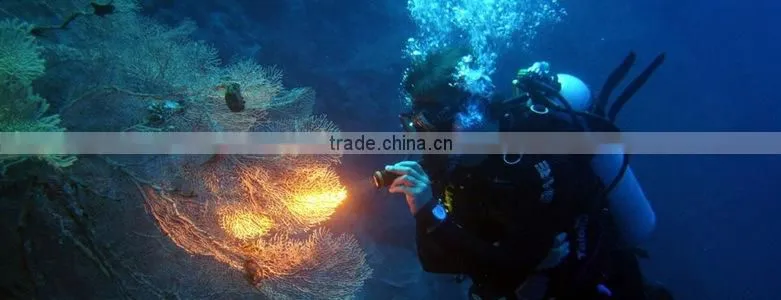 Classic design 1W high bright underwater diving flashlight
