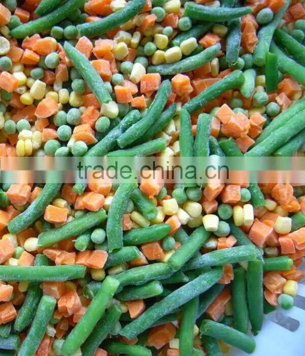 China manufacture high quality frozen vegetable organic