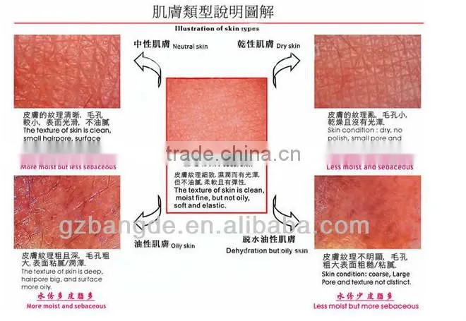 Boxy Skin and Hair testing equipment beauty machine BD-P023