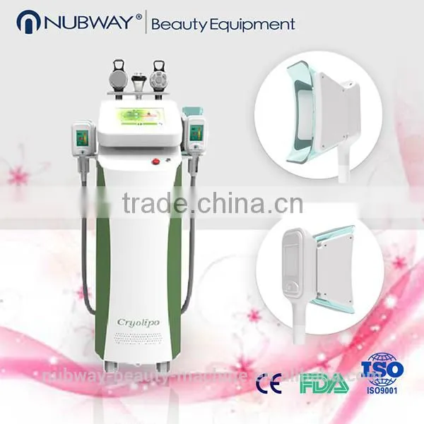 2 Big Size Kryolipolyse Handle For Fat Freezing Cryolipolysis Slimming Machine