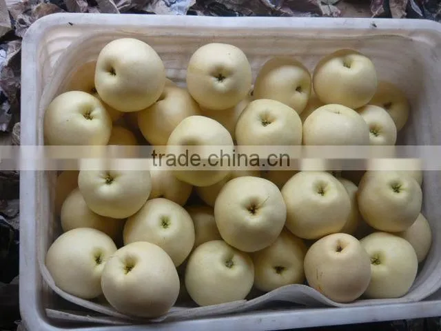 Fresh fruit emerald pear with good price for exporting