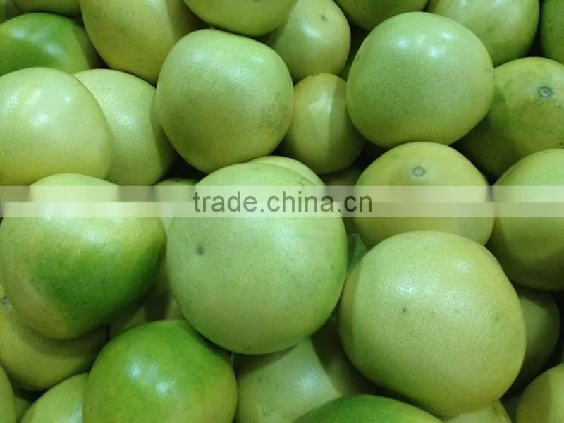 Pomelo from China