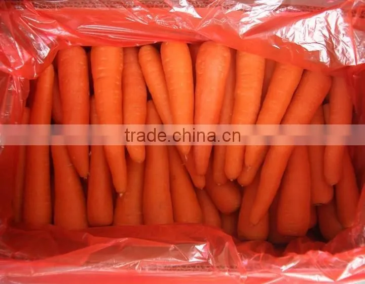 2016 new crop fresh carrot