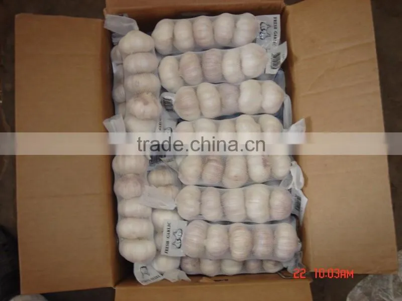 YUYUAN brand hot sail fresh garlic crushed garlic